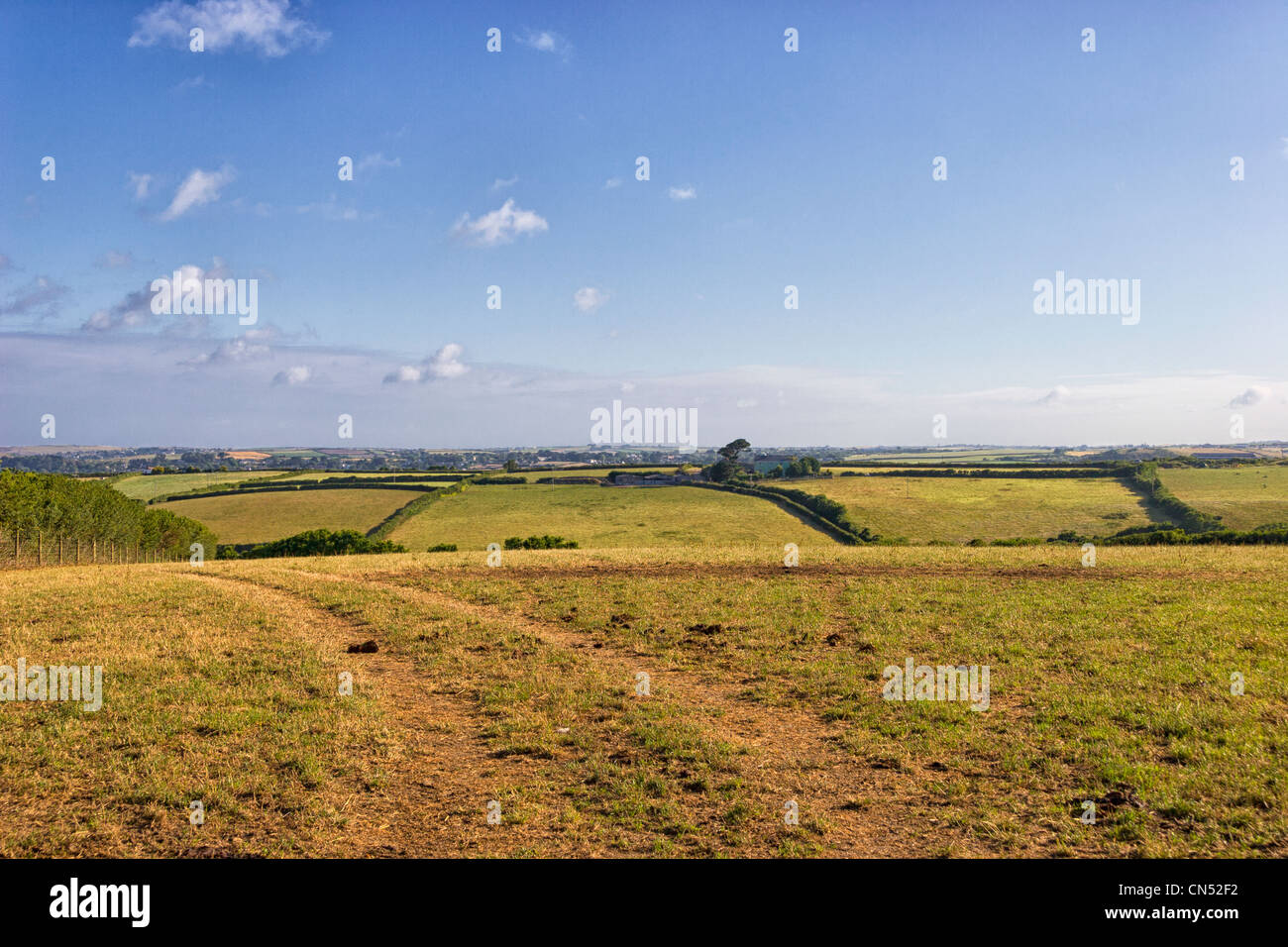 Landscape scene, Cornwall, England Stock Photo