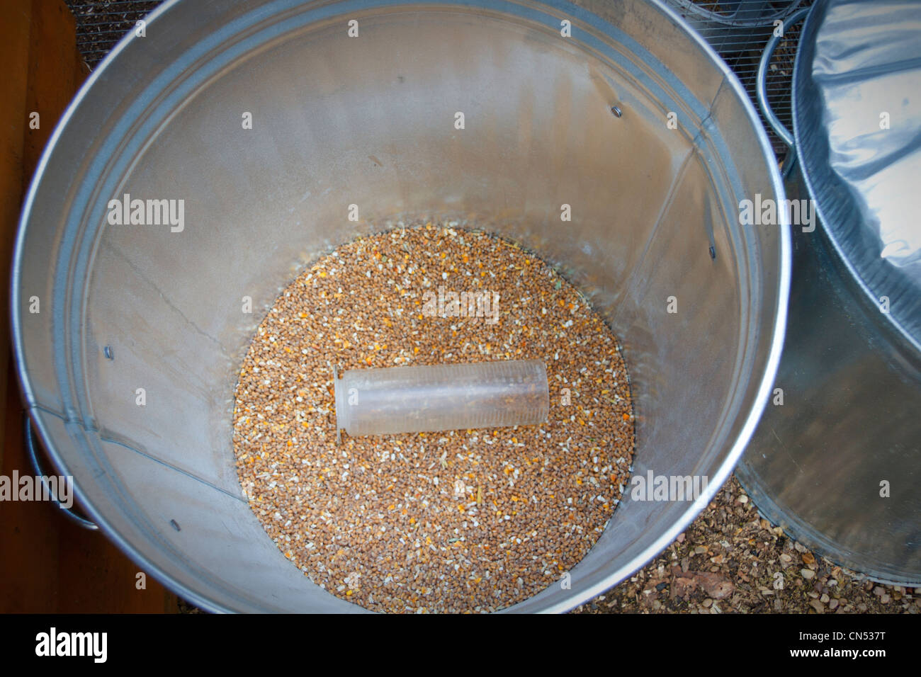 Metal animal feed bin with corn and a beaker Stock Photo Alamy