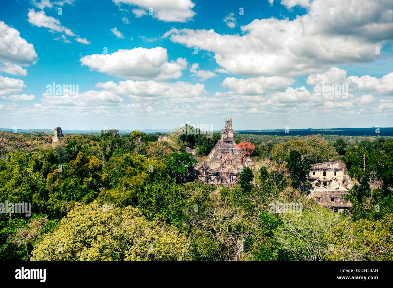 View from atop Tikal's Temple V looking north toward the Central Acropolis. Stock Photo
