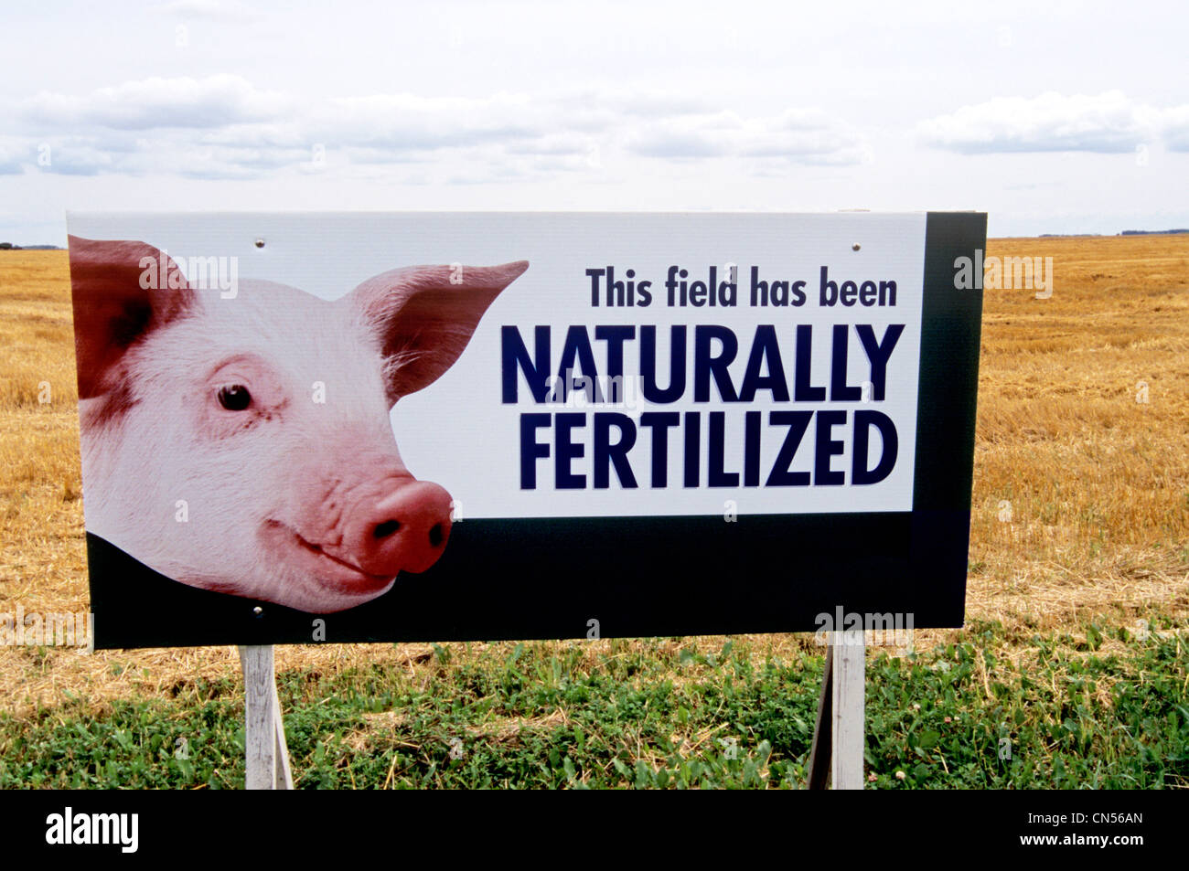 Sign at edge of a Harvested Grain Field, Winnipeg, Manitoba Stock Photo