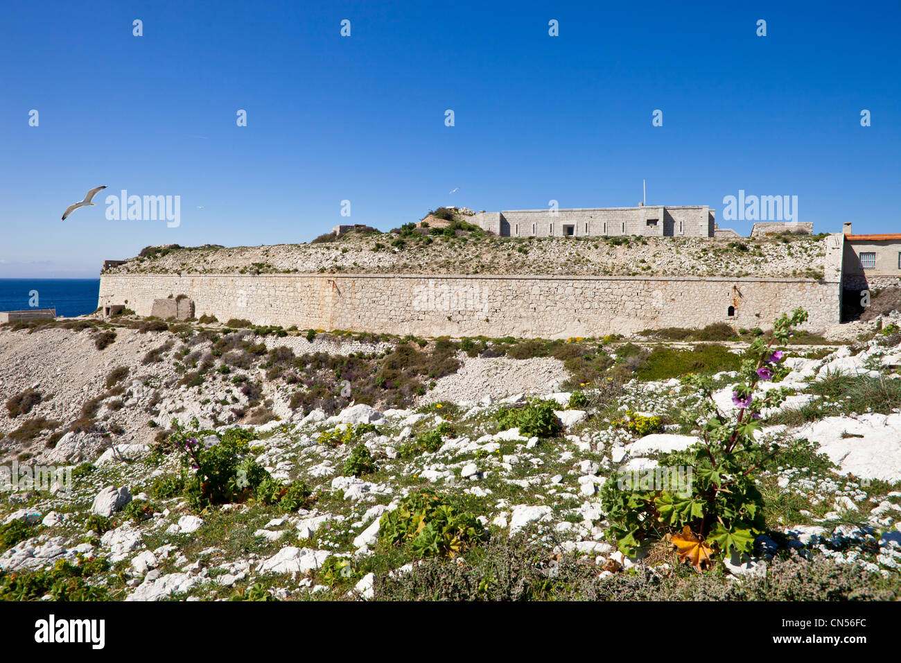 France, Bouches du Rhone, Marseille, Archipel du Frioul, Ile Ratonneau, Fort Brigantine Stock Photo