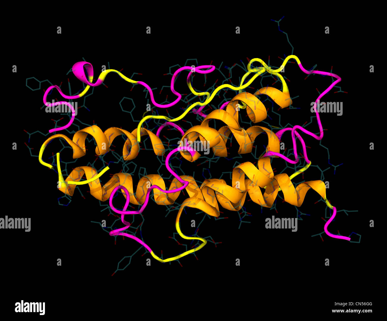 3D molecular model of human growth hormone Stock Photo