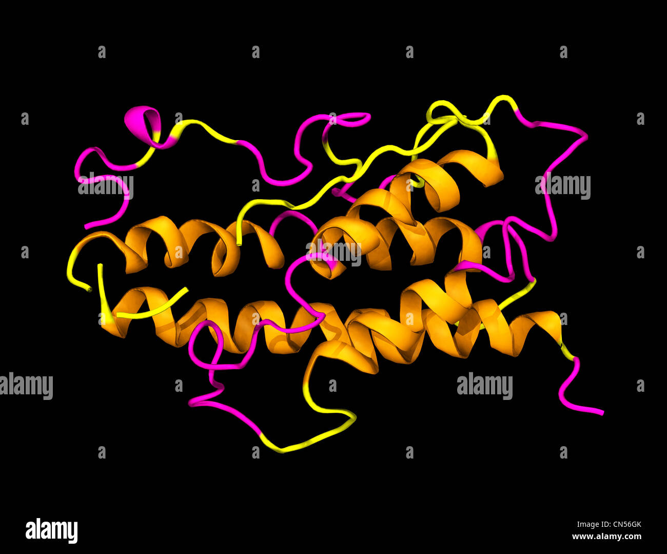 3D molecular model of human growth hormone Stock Photo