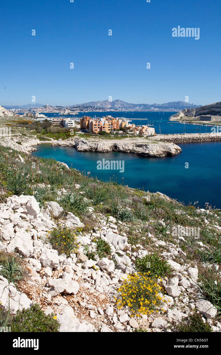 France, Bouches du Rhone, Marseille, Archipel du Frioul, Ile Ratonneau Stock Photo