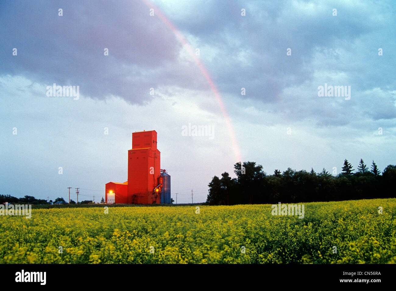 Rainbow over Grain Elevator, with Canola in the foreground, Manitoba Stock Photo