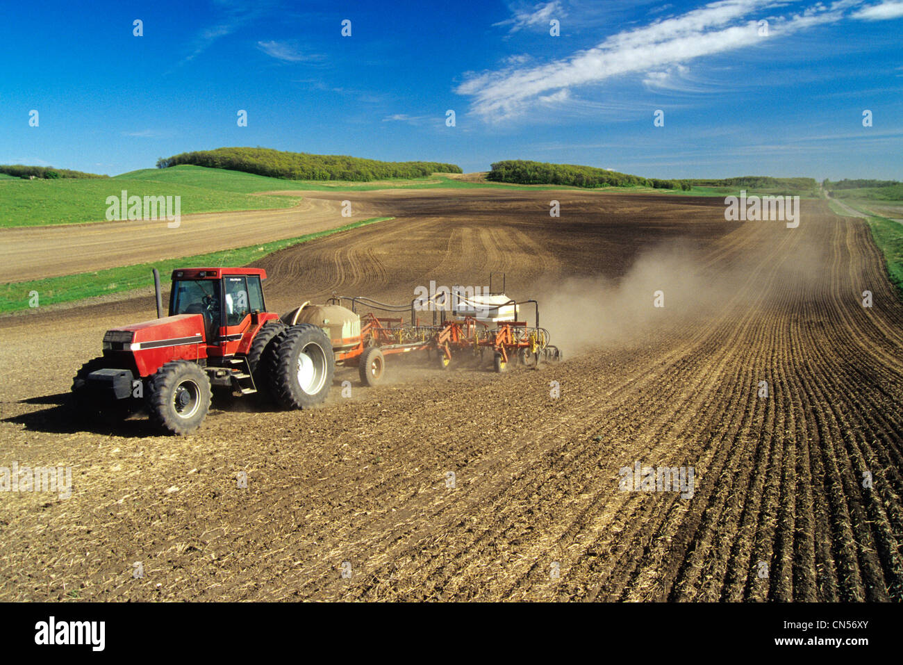 Seeding Grain, Tiger Hills, Manitoba Stock Photo