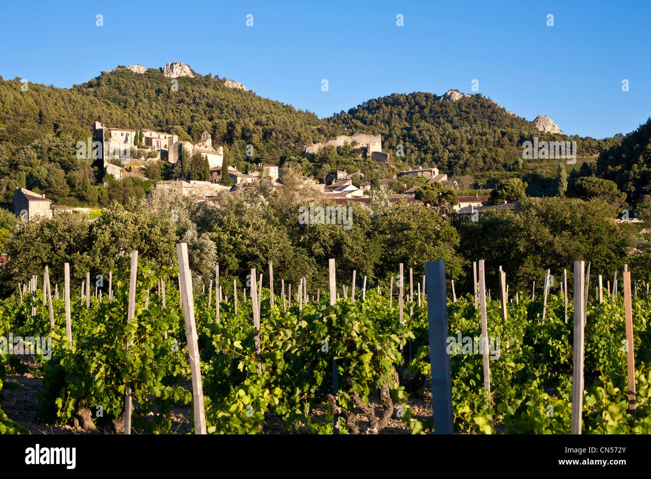 France, Vaucluse, Baronnies mountains, Gigondas at the foot of the Dentelles de Montmirail, a region which produces a famous Stock Photo