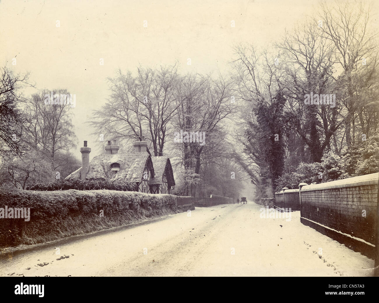 Wood Road, Tettenhall Wood, Wolverhampton, early 20th century Stock