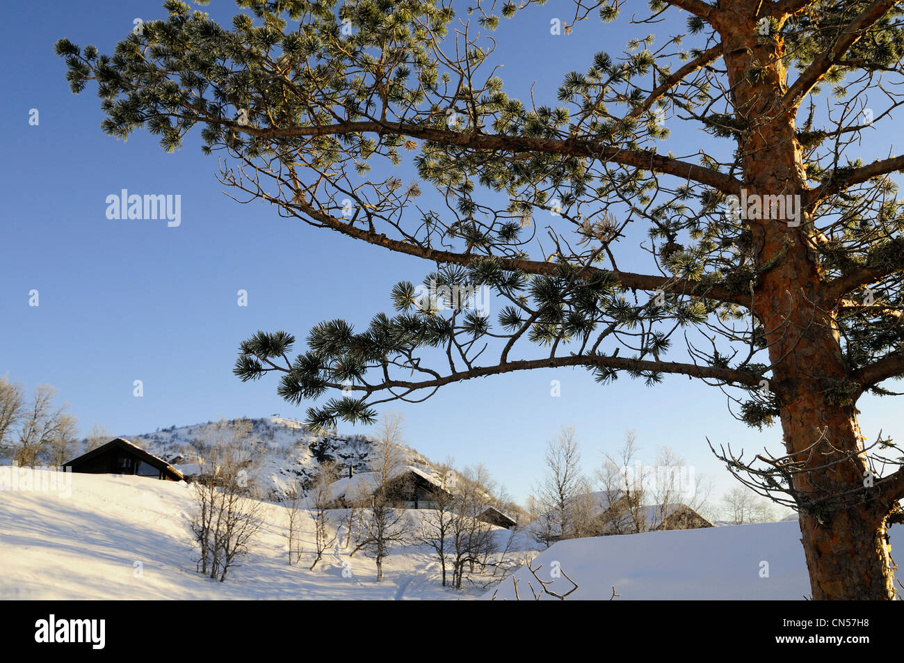 Norway, Vest Agder County, Sirdal, Tjorhomfjellet ski resort Stock Photo