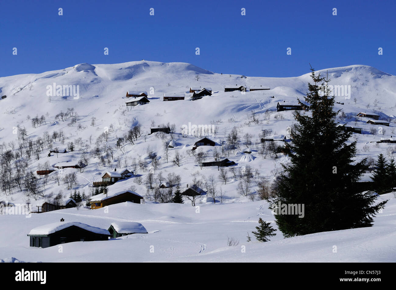 Norway, Vest Agder County, Sirdal, village under the snow Stock Photo