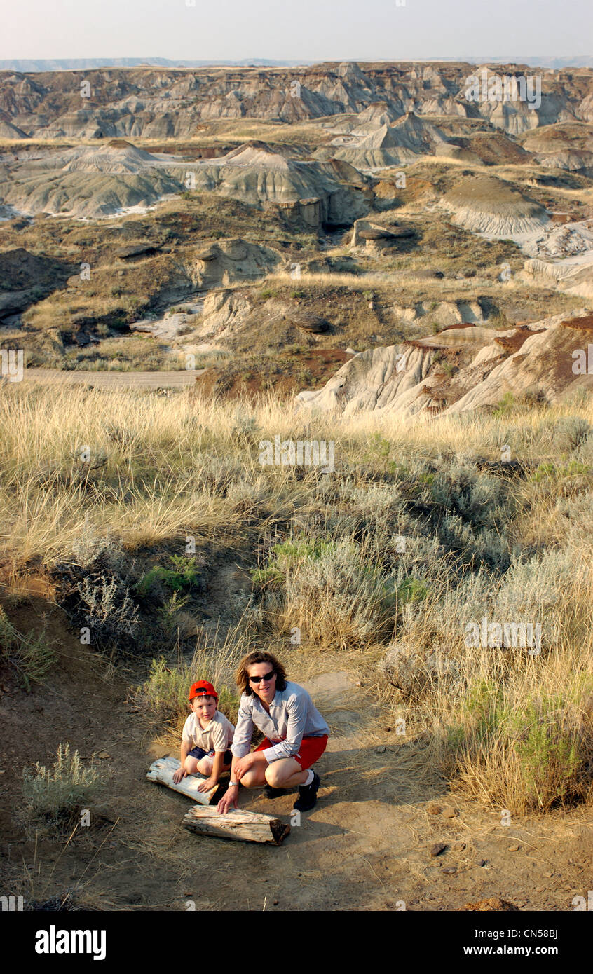 Examining Petrified Wood at Dinosaur Provincial Park, Alberta Stock Photo