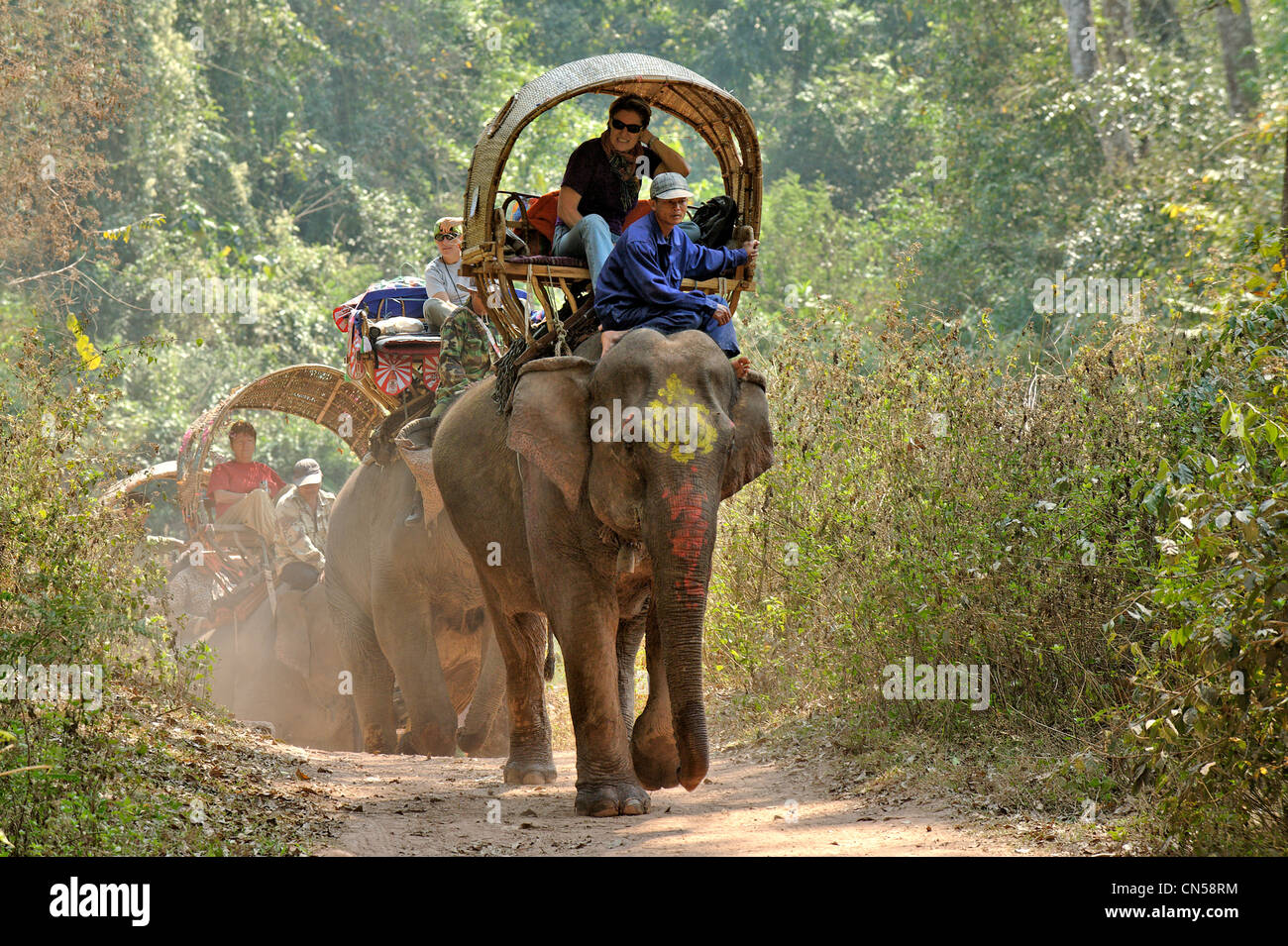 Laos, Sainyabuli Province, Hongsa, trek on elephants forming a column ...