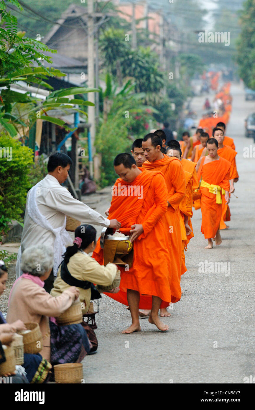 Laos, Luang Prabang Province, Luang Prabang City, during the procession of Tak Bat Ceremony for offerings made to the monks Stock Photo