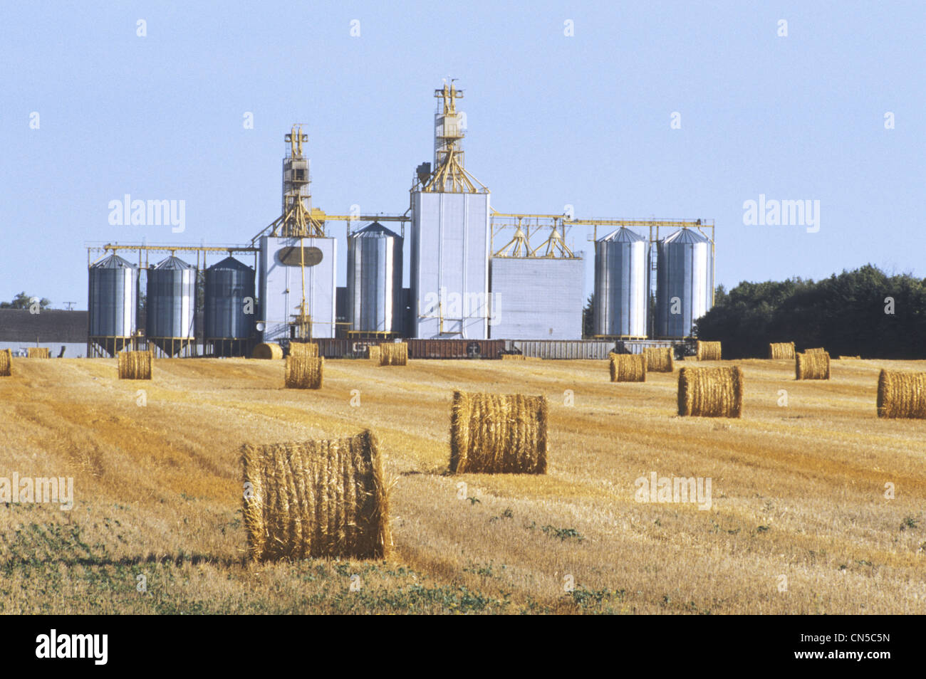Grain Elevator and Straw Rolls, Somerset, Manitoba Stock Photo