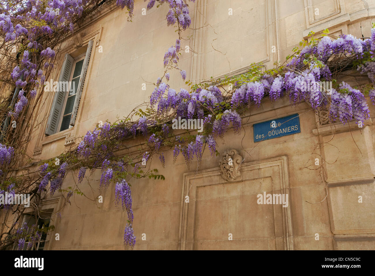 France, Bouches du Rhone, Arles, district de la Roquette, rue des Customs Stock Photo