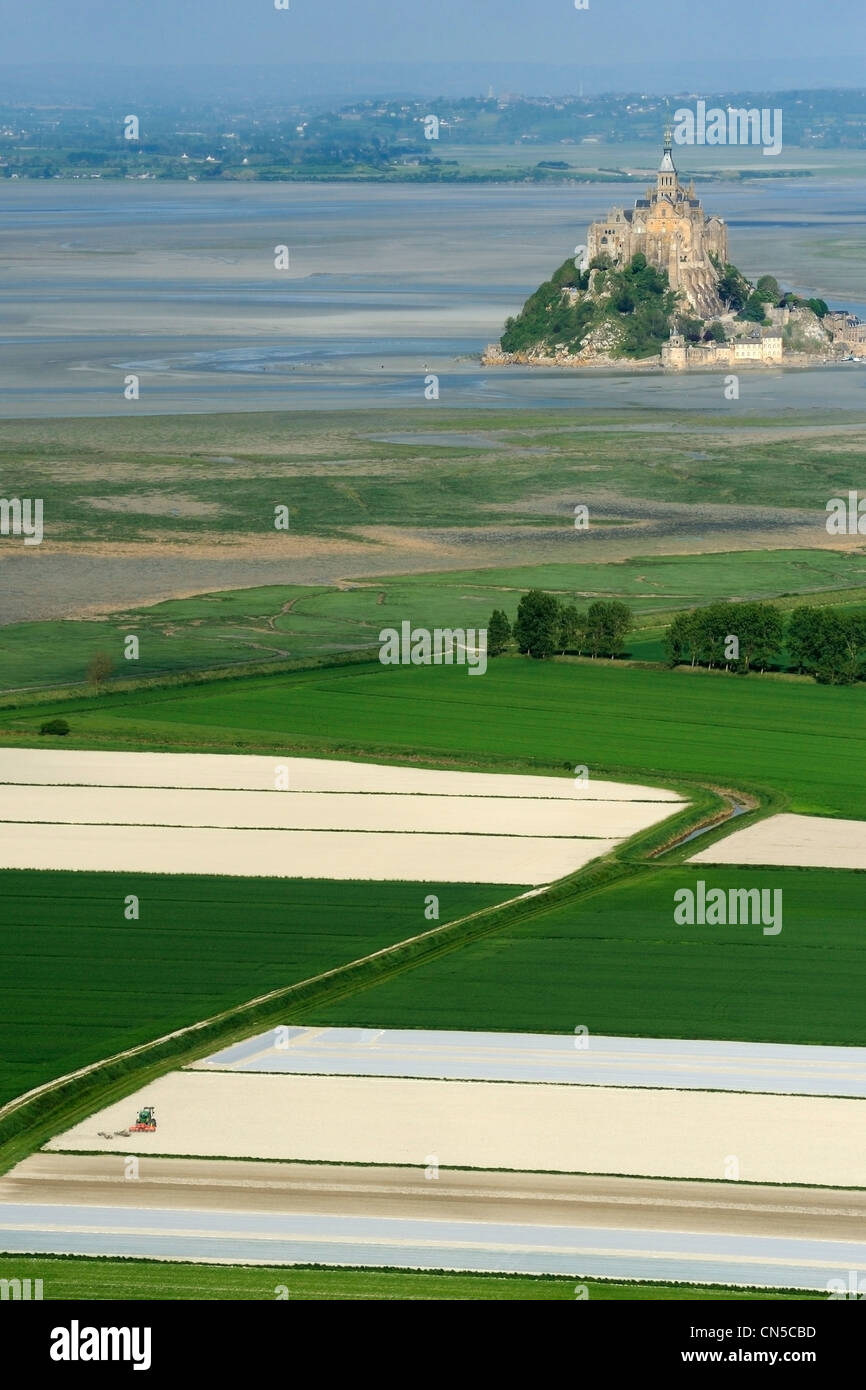 France, Ille et Vilaine, bay of Mont St Michel, the fields and polders on the Brittany side (aerial view) Stock Photo