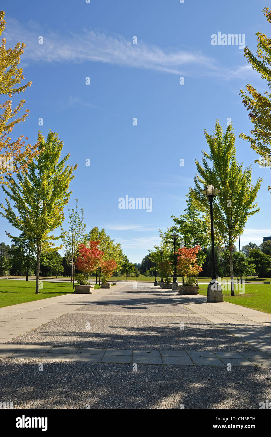 Beautiful autumn trees in city park Stock Photo