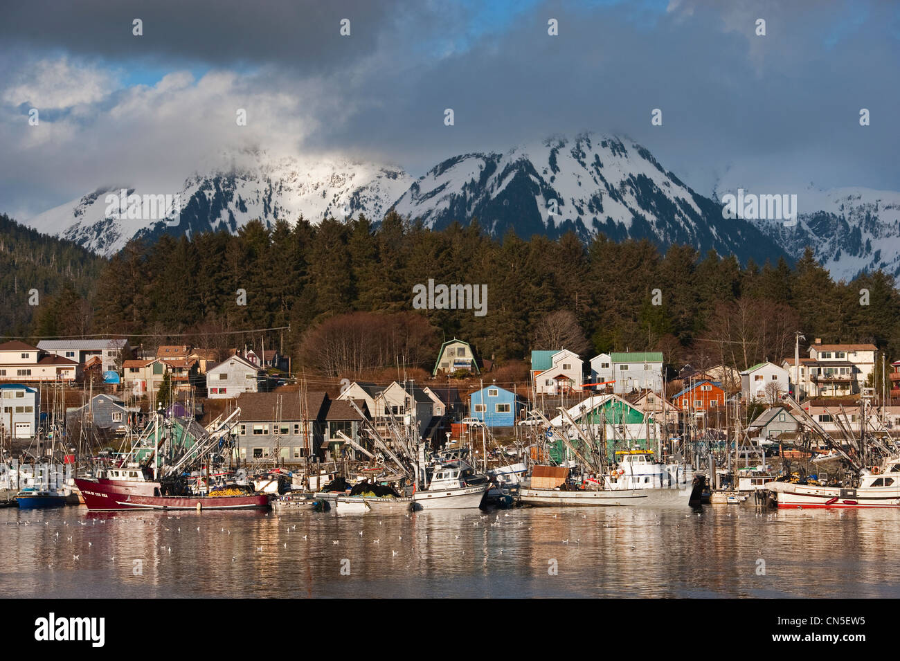Sitka sound herring fishery hires stock photography and images Alamy