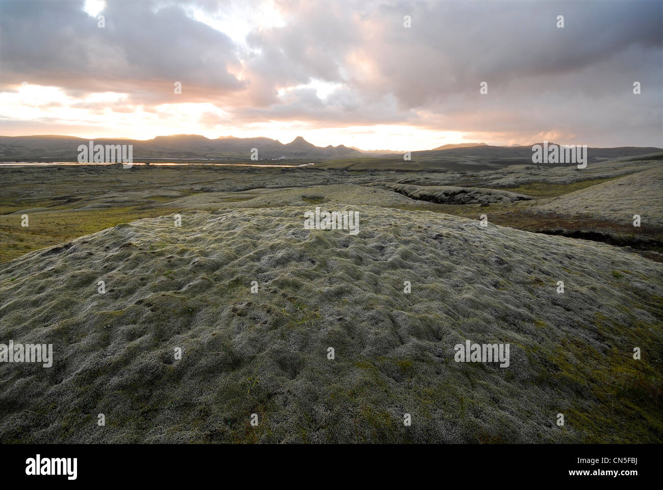 Iceland, Sudurland Region, Skaftafell National Park, volcanic region of Lakagigar Stock Photo
