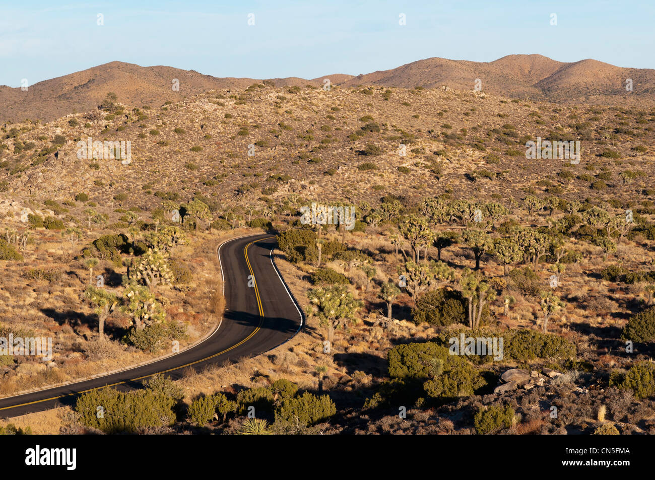 United States, California, Joshua Tree national park, Keys View Stock ...
