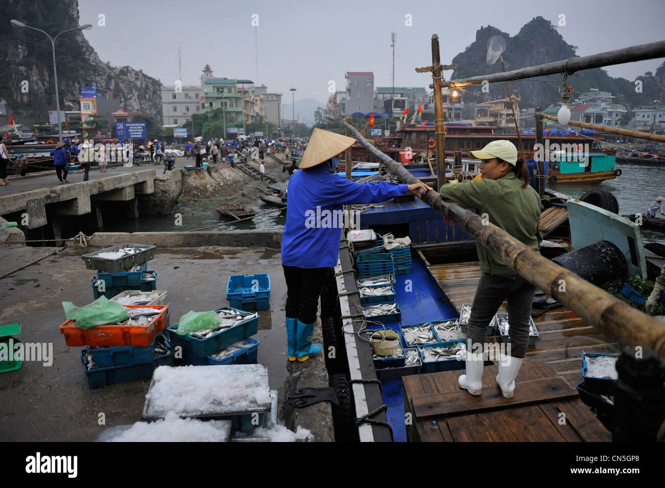 Vietnam, Quang Ninh Province, Halong Bay listed as World Heritage by