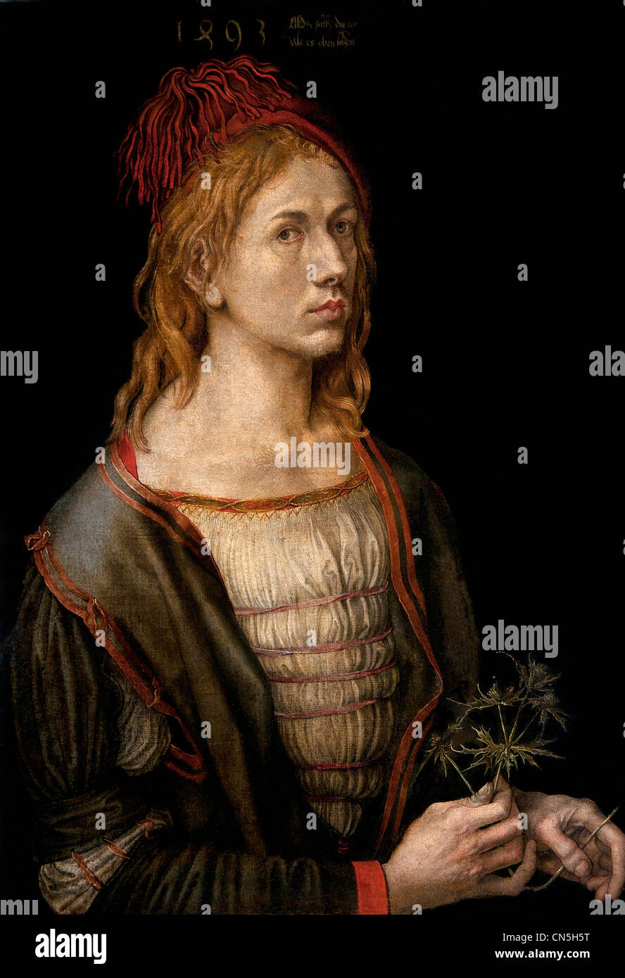 Albrecht DURER 1471-1528 self portrait as young man holding plant eryngium thistle perhaps fidelity symbol German Germany Stock Photo