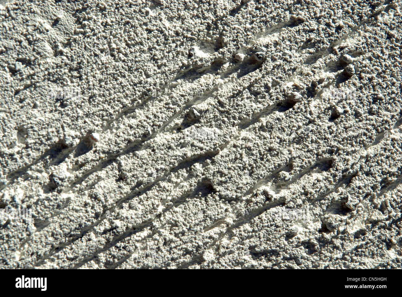 scratchy, rough cement wall, white/grey Stock Photo