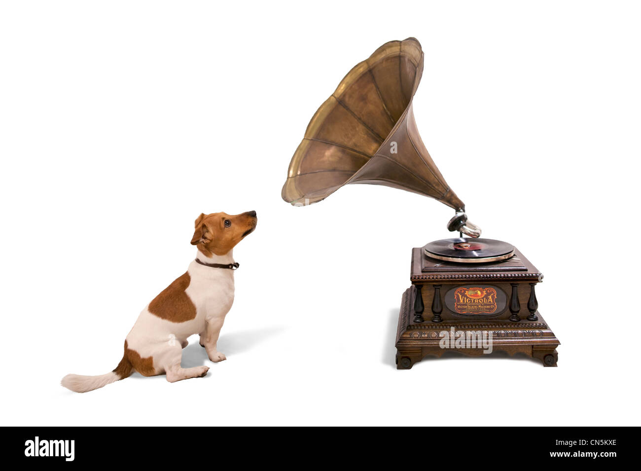 Vintage gramophone with dog, victor Stock Photo