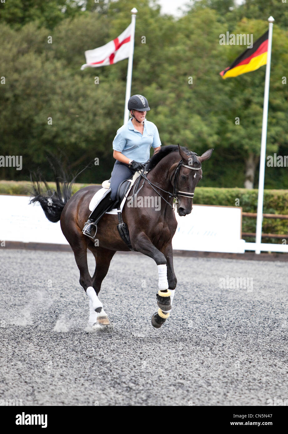 Dressage trainer on a horse training in an outdoor arena, London, England, UK. Stock Photo