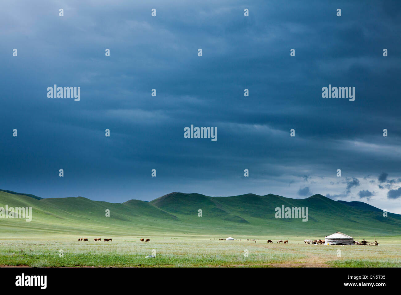 Landscape of Mongolian steppe , khuduu aral, khentii province, Mongolia Stock Photo