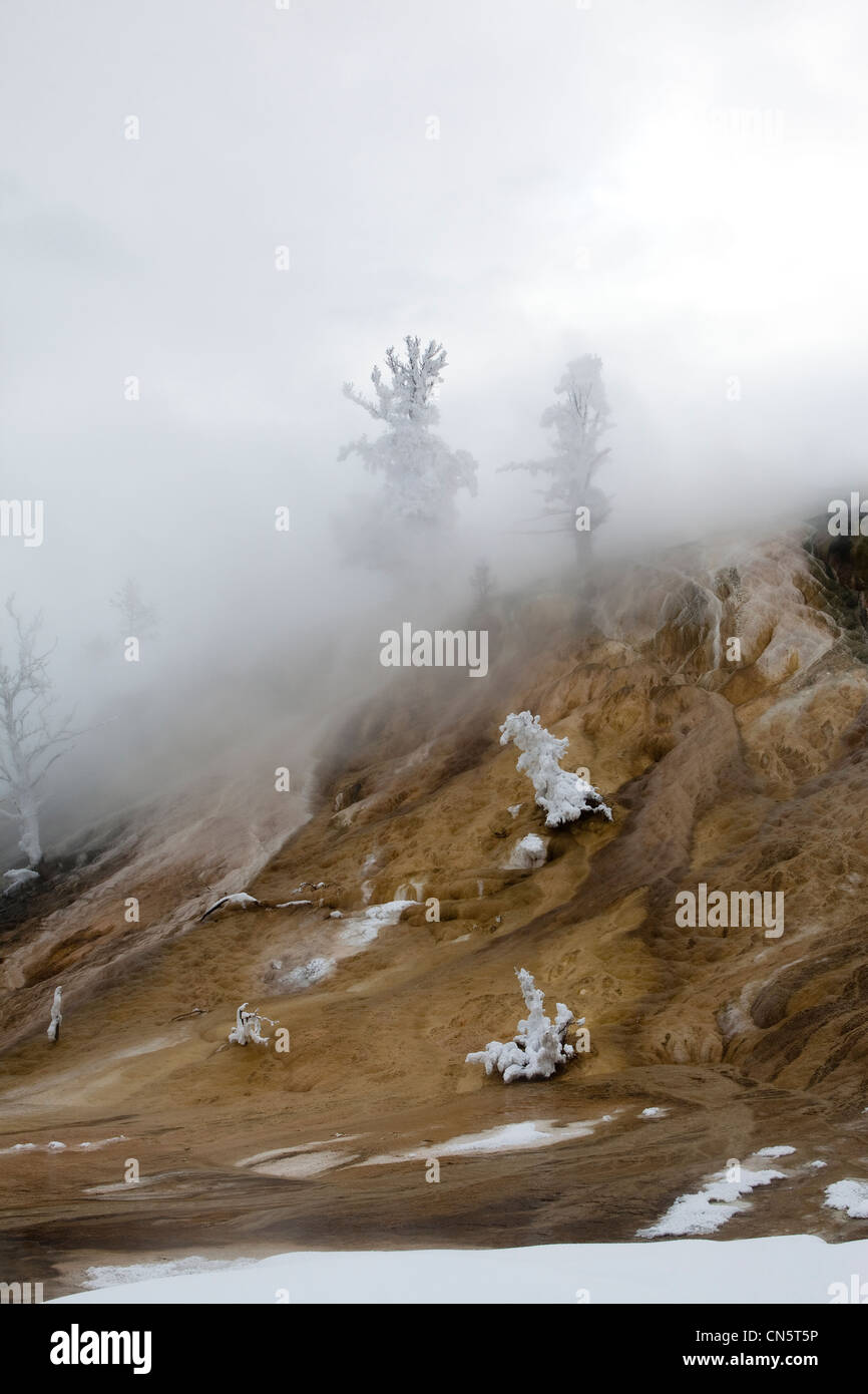 United states, Wyoming and Montana States, Yellowstone National Park