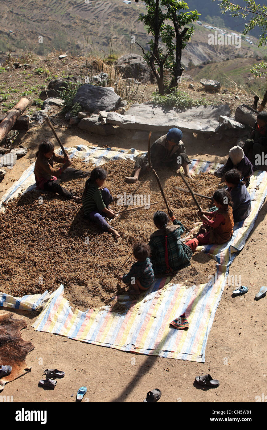  Foto zu Nepali Children Stock Photos & Nepali Children Stock Images - Alamy 