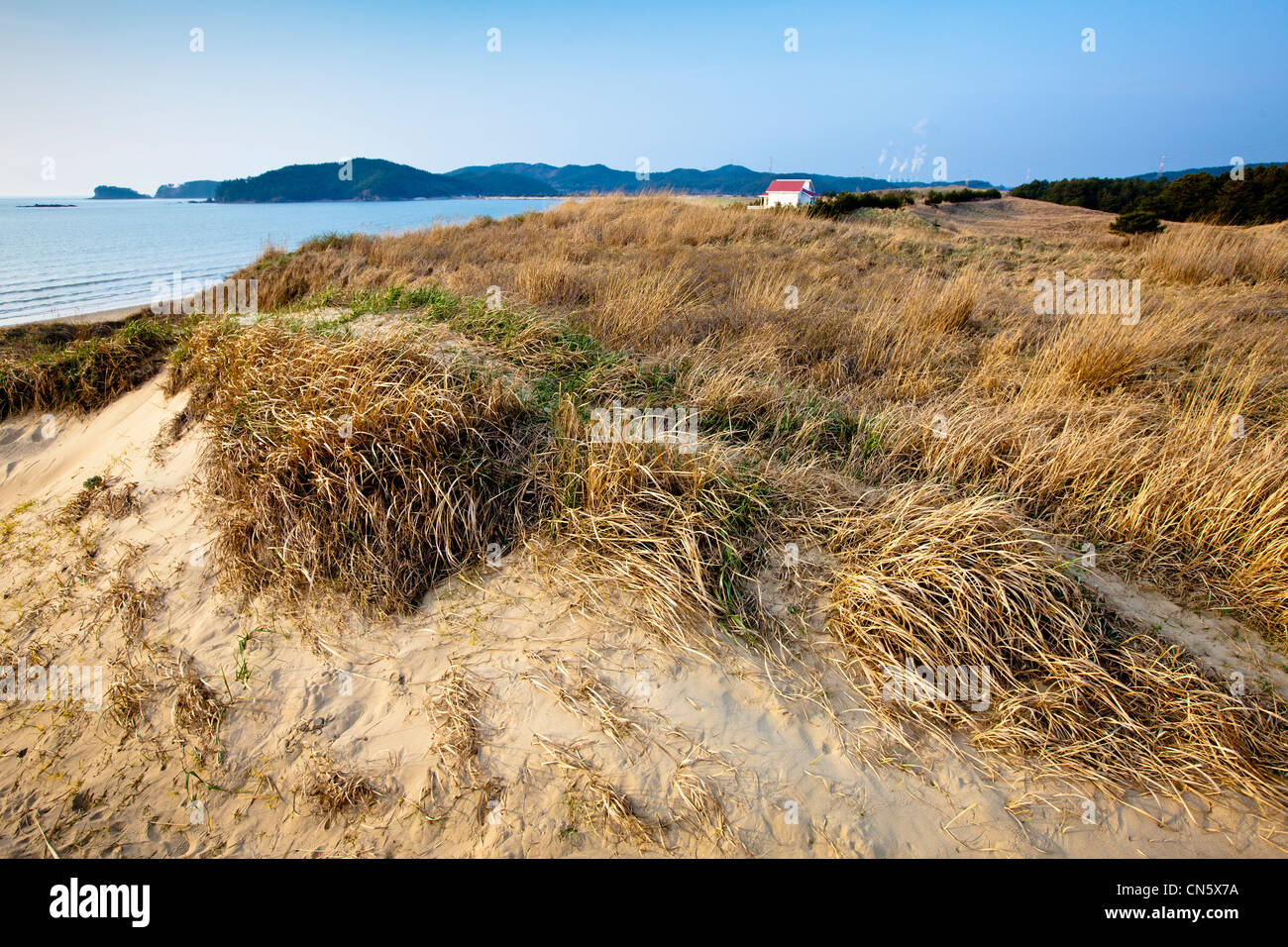 South Korea, South Chungcheong Province, Anmyeondo, Sinduri Coastal Sand Dune and isolated house in the distance Stock Photo