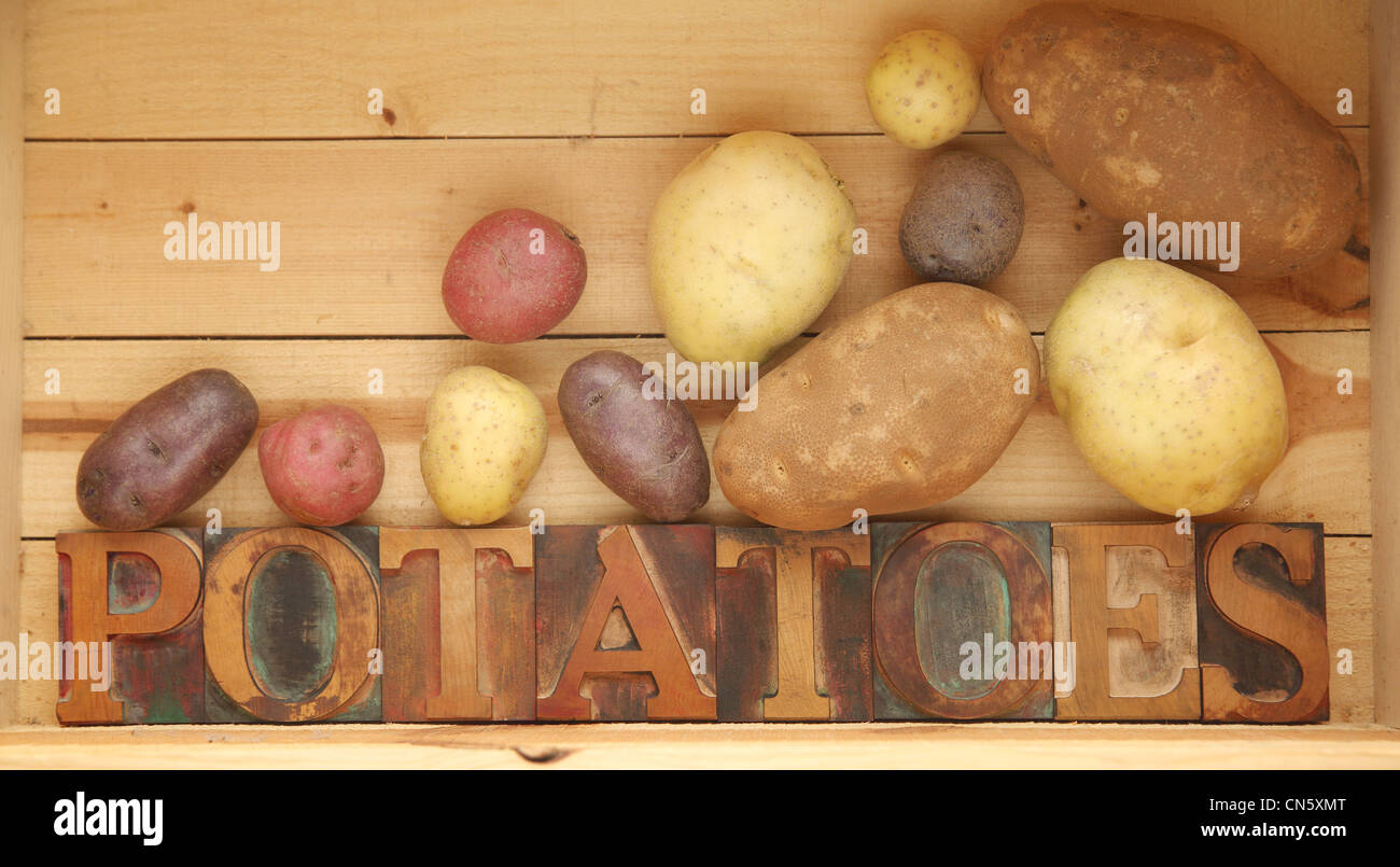 the word potatoes in old wood type with assorted kinds Stock Photo - Alamy
