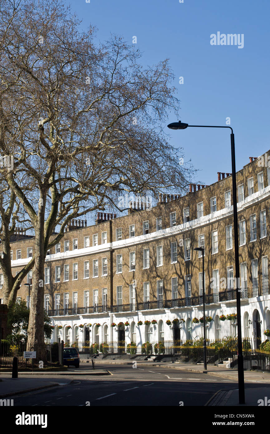 Cartwright Gardens, Bloomsbury, Camden, London, England, UK Stock Photo Alamy