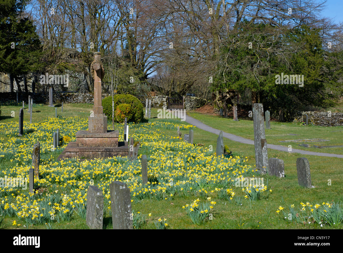 Churchyard of Holy Trinity Church, in Winster - springtime, with ...
