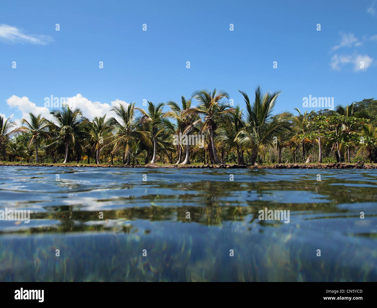 Tropical shore with coconut trees seen from water surface, Caribbean sea, Panama, Central America Stock Photo