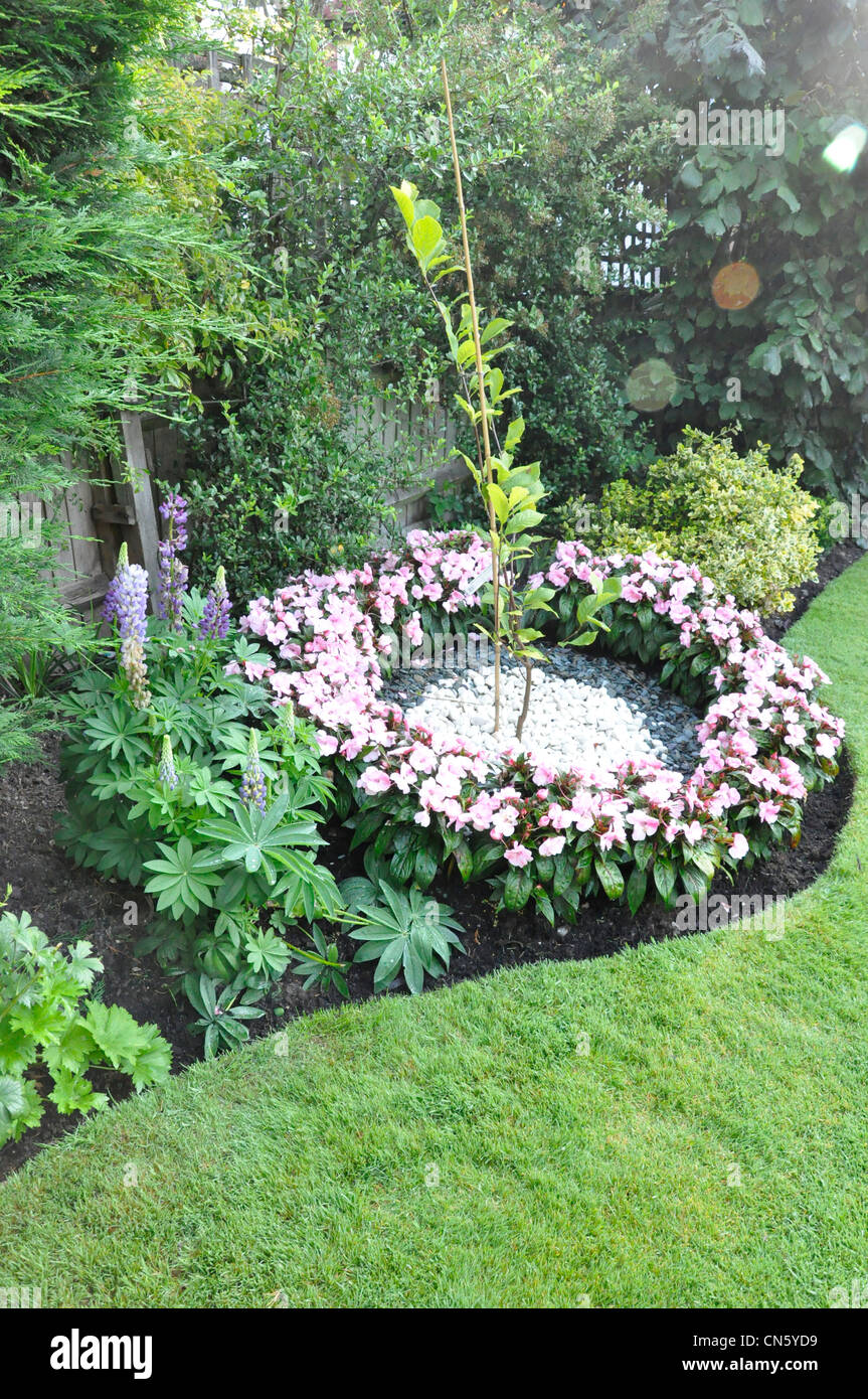 Summer garden border hi-res stock photography and images - Alamy