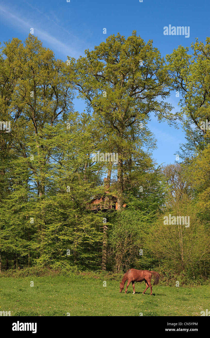 France, Seine et Marne, Vernou la Celle, chateau de Graville (castle of Graville) , hut in tree and horse Stock Photo