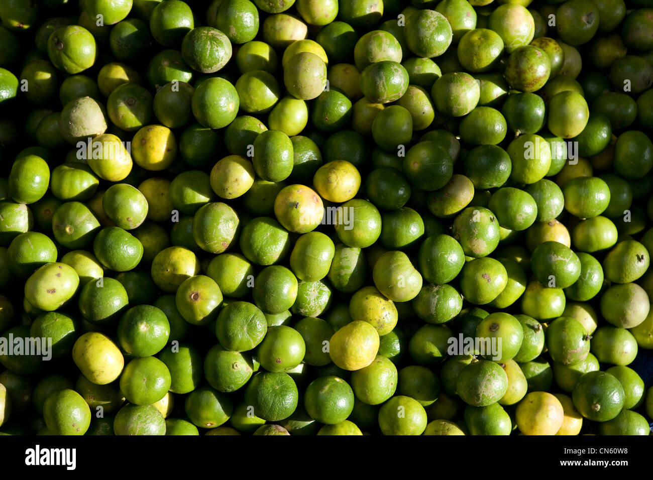Limes on sale at the Central Market, Songkhla, Thailand Stock Photo