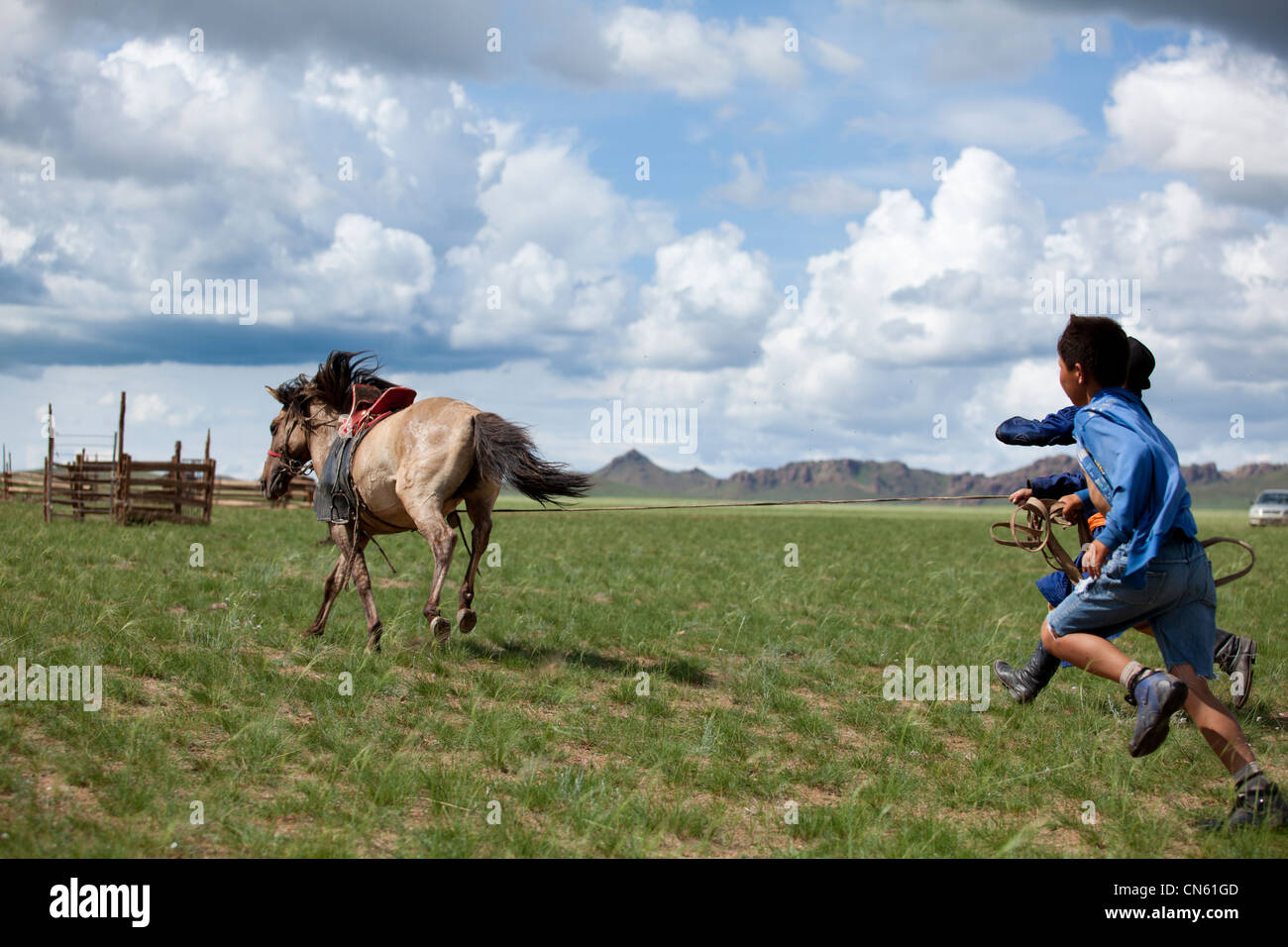 Chase untrained horse , khuduu aral, khentii province, Mongolia Stock Photo