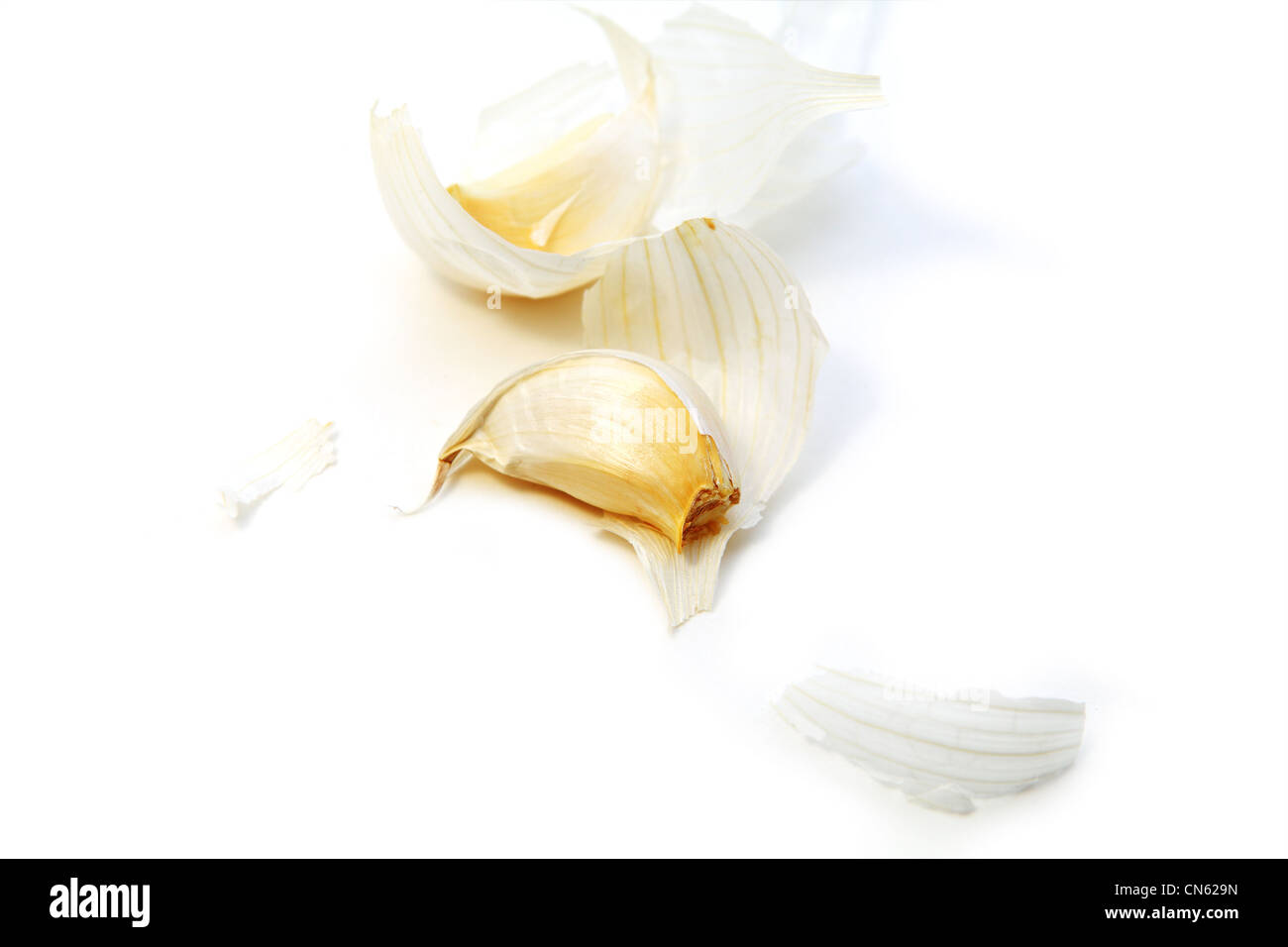 one clove and skin of the garlic bulb on white background Stock Photo