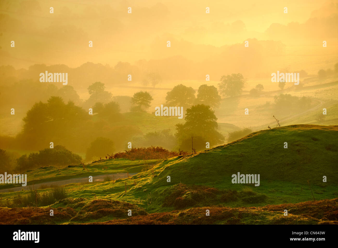 Sunrise over Rosedale viewed from Chimney Bank, North Yorks National Park, North Yorkshire, England Stock Photo