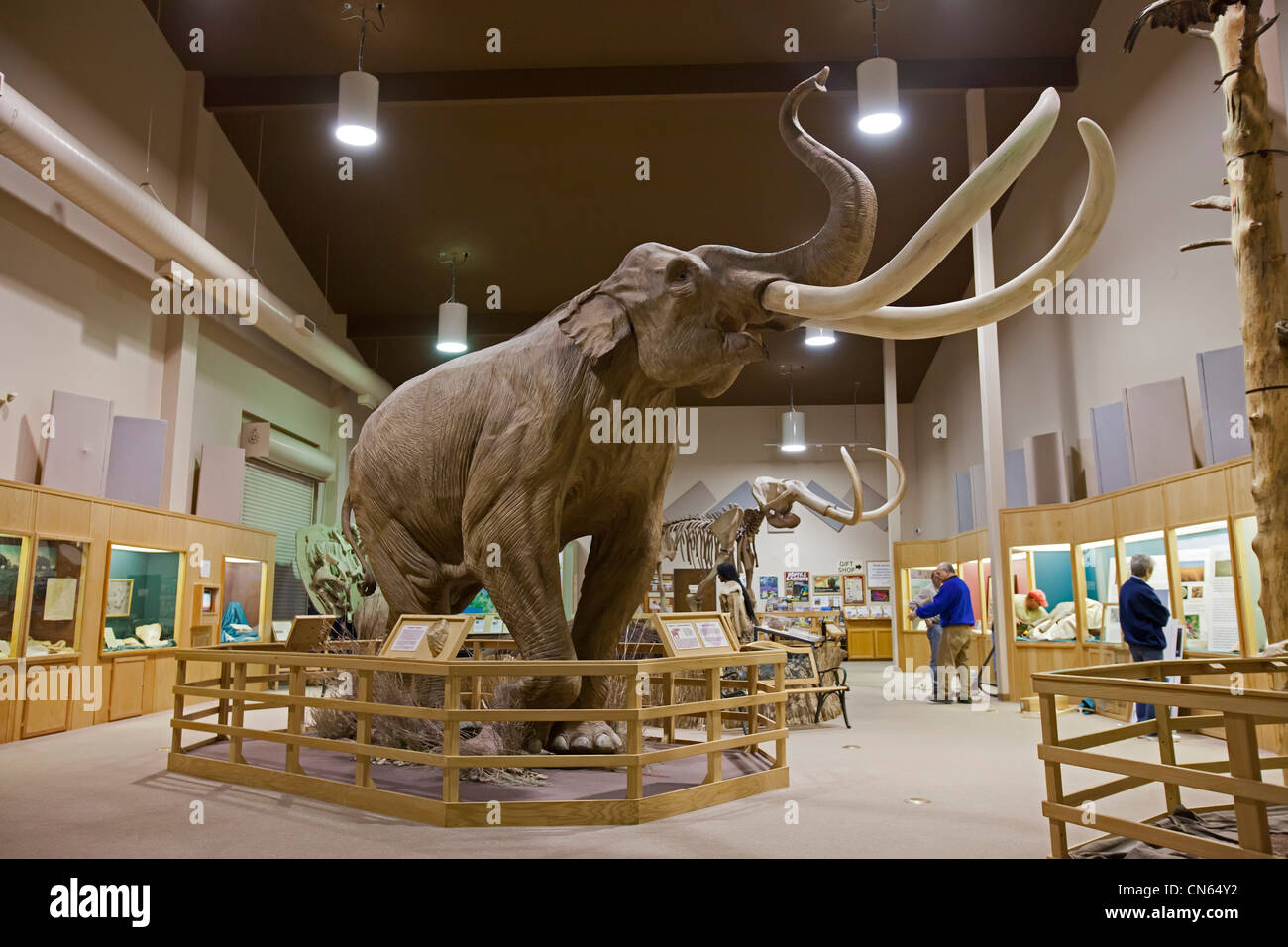 Mammoth Site Stock Photo
