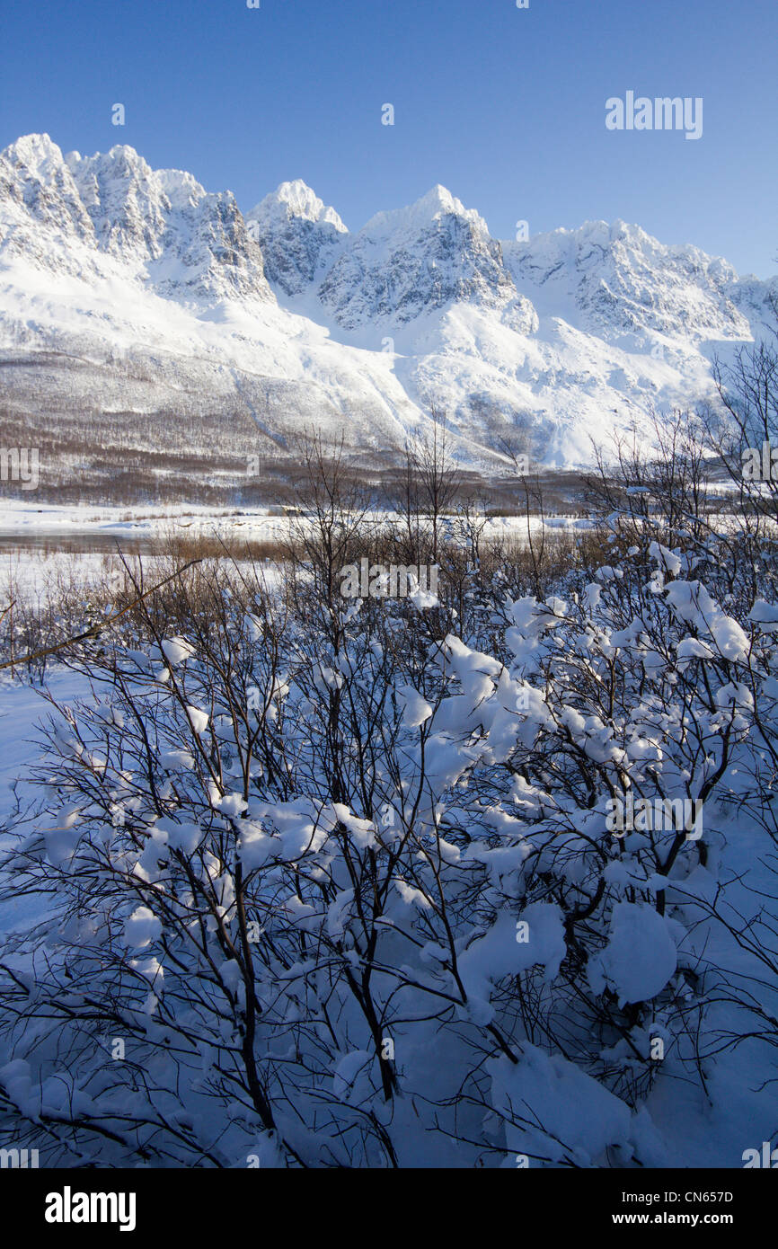 Lyngen Alps Across Sorfjorden Near Lakeselvdalen Troms Norway Stock ...