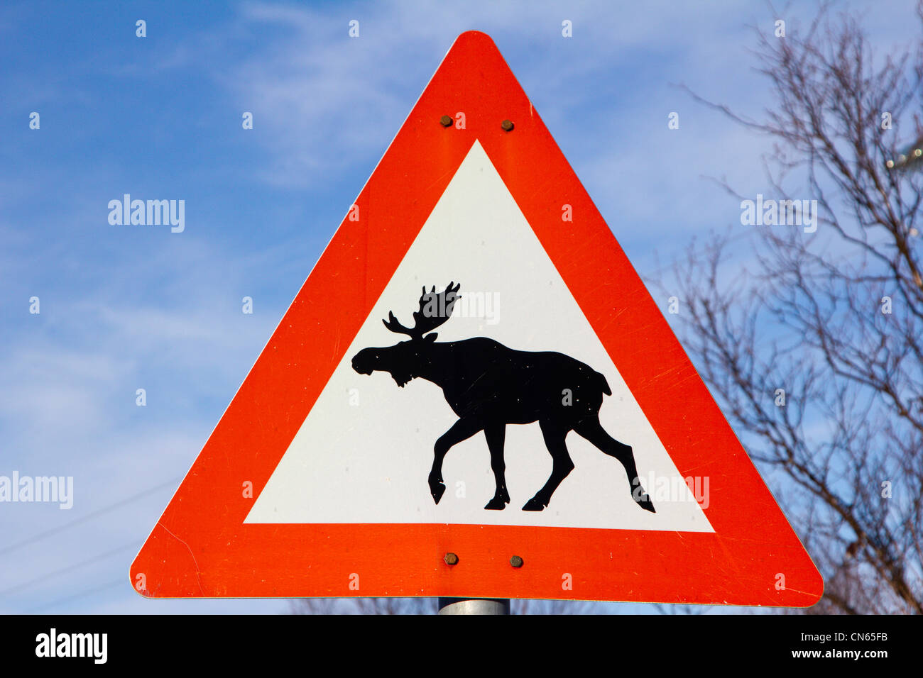 Norway road sign warning elk hi-res stock photography and images - Alamy