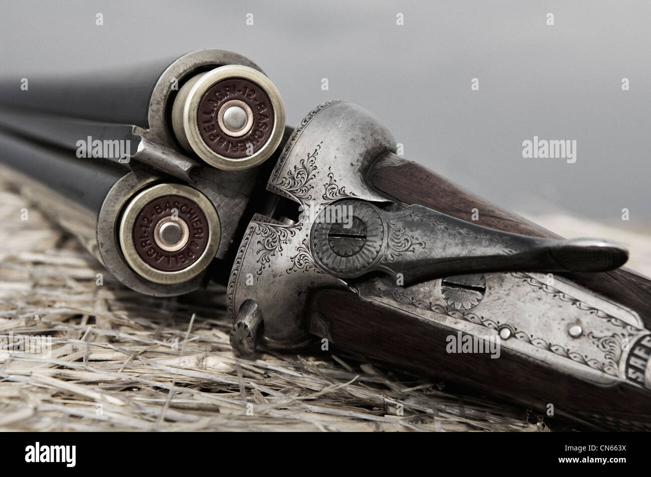 Webley and Scott 12 Gauge Side by Side Shotgun with B & P Itailian 2 1/2 Inch Shotgun Shells Stock Photo