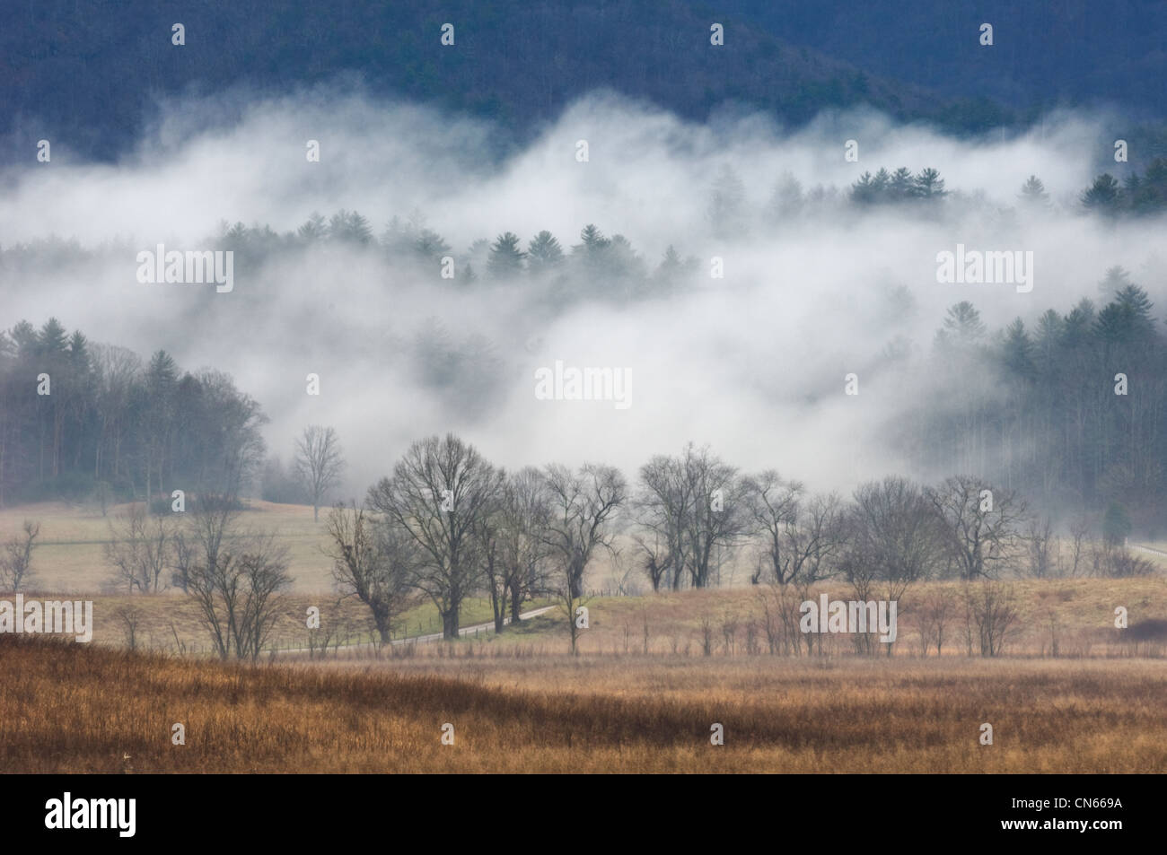 Mist Rising in Cades Cove During Storm in the Great Smoky Mountains