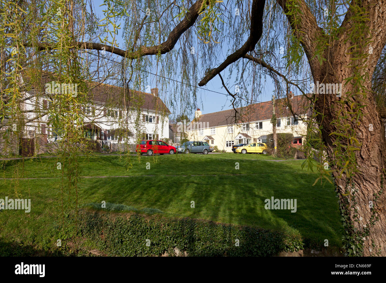 Houses alongside The Green, Kilmington, Devon Stock Photo Alamy