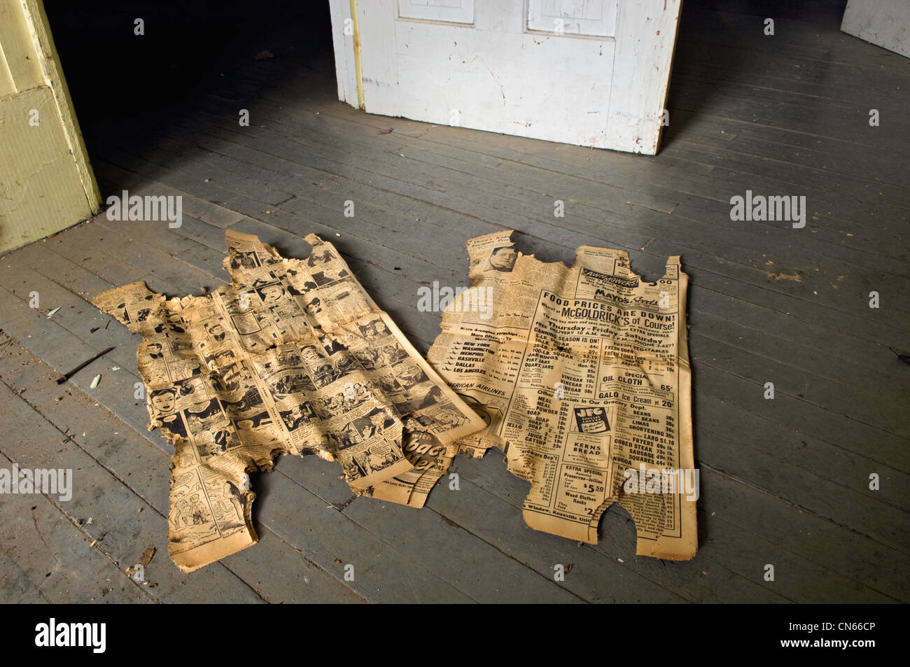 1948 Newspaper in Abandoned Cabin at Millionaires Row in Elkmont Area